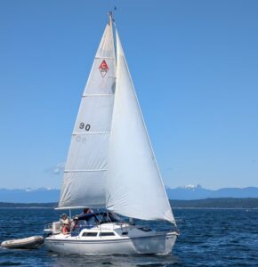 Sea Harmony